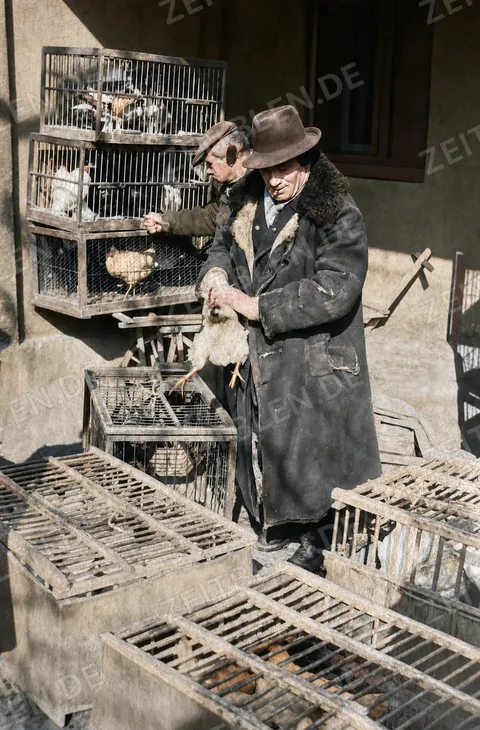 Geflügelhändler mit Huhn am Viktualienmarkt