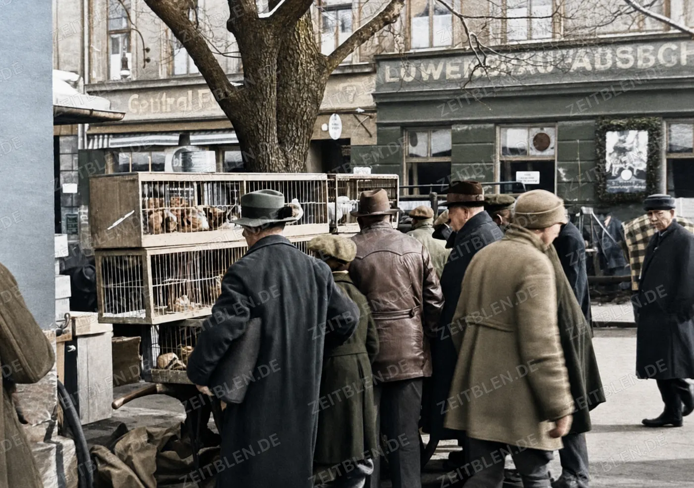 Geflügelmarkt unter Bäumen am Viktualienmarkt