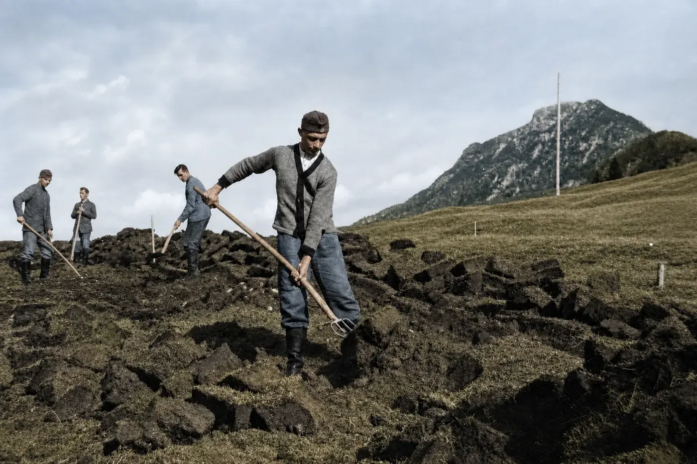 Kultivierung der Buckelwiesen bei Mittenwald