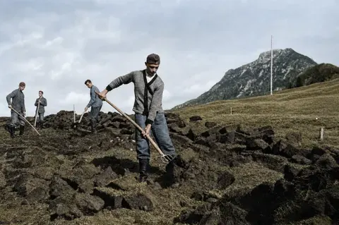 Kultivierung der Buckelwiesen bei Mittenwald