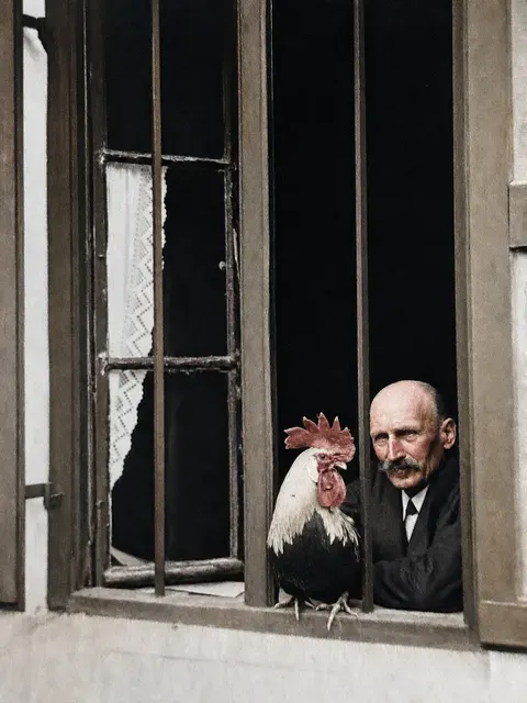 Bauer mit Hahn am Fenster