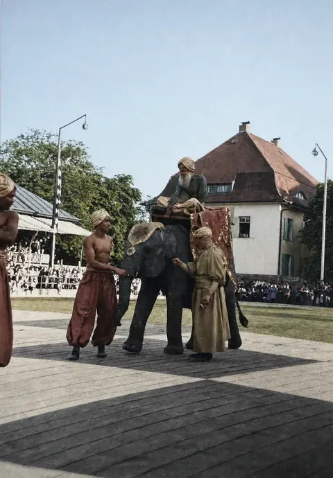 Elefant als Figur beim „Lebenden Schach“