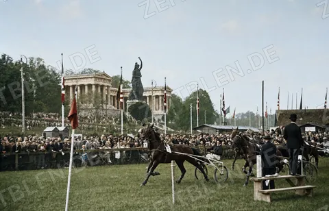 Trabrennen mit Sulkys auf der Theresienwiese