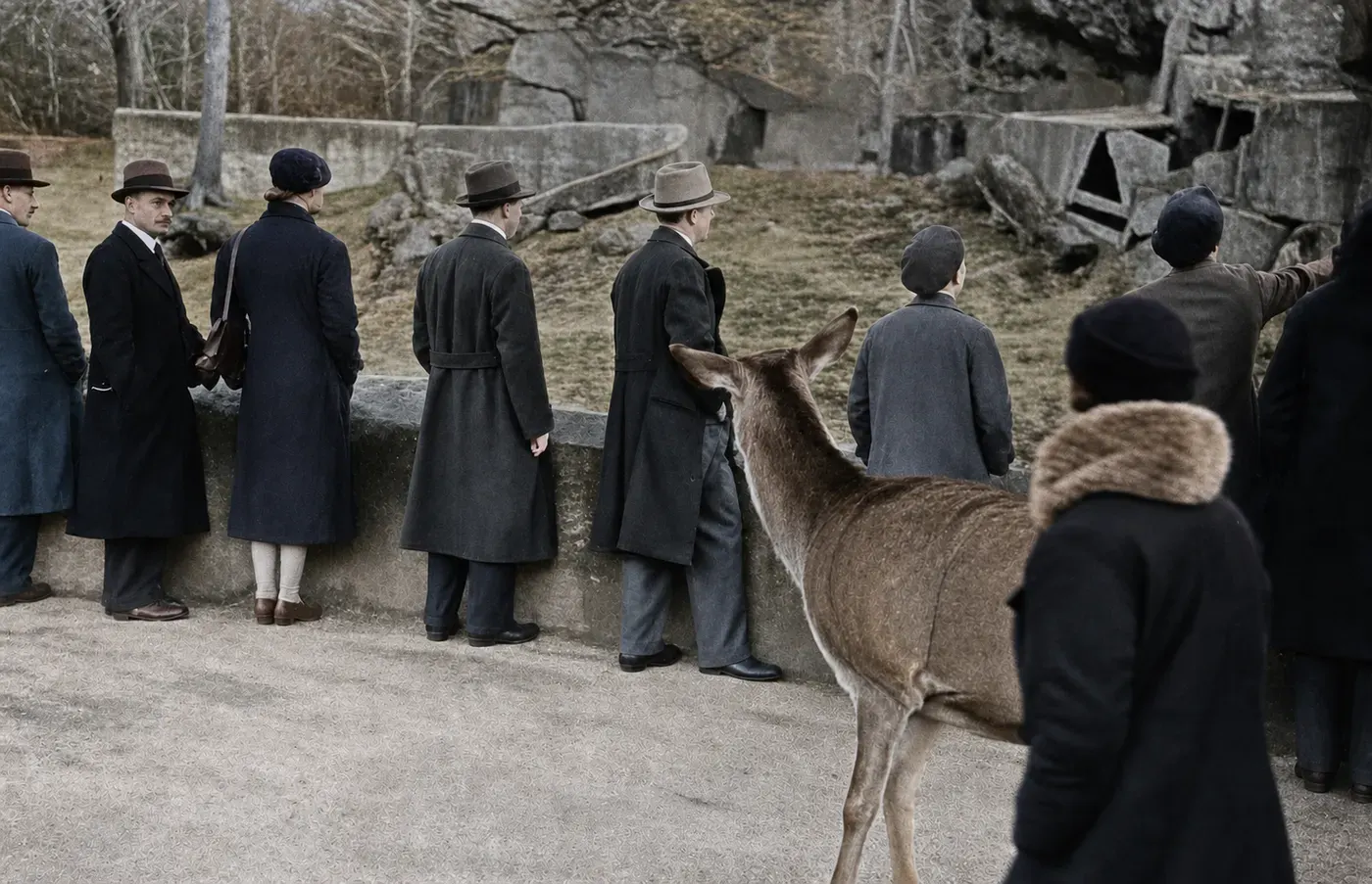 Hirschkuh bei einer Besuchergruppe in Hellabrunn, 1936