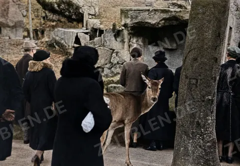 Hirschkuh zwischen Besuchern im Tierpark Hellabrunn