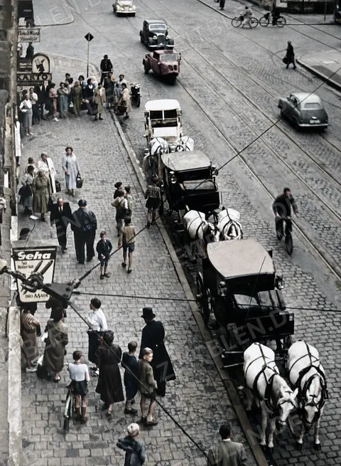 Kutschen und Autos im Stadtverkehr