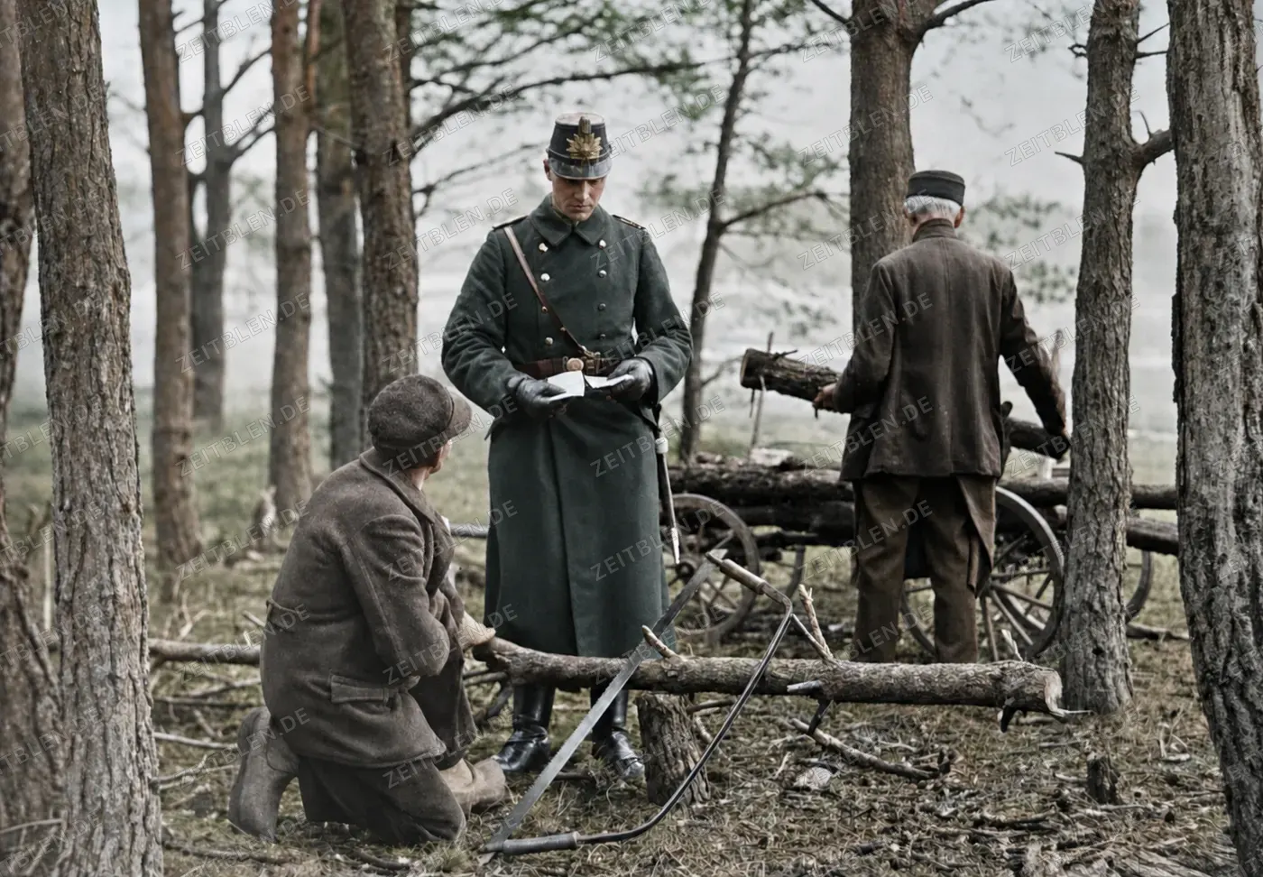 Kontrolle von Holzscheinen im Wald