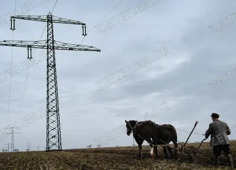 Pferdegespann unter Hochspannungsleitungen in der Magdeburger Börde