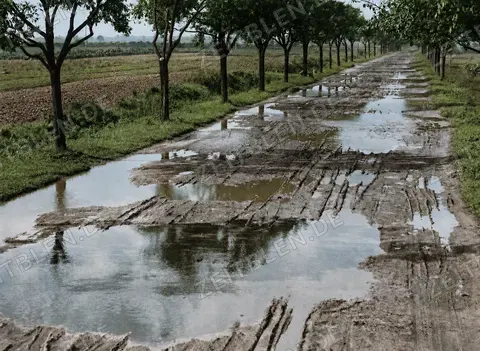 Unbefestigte Allee nach starkem Regen