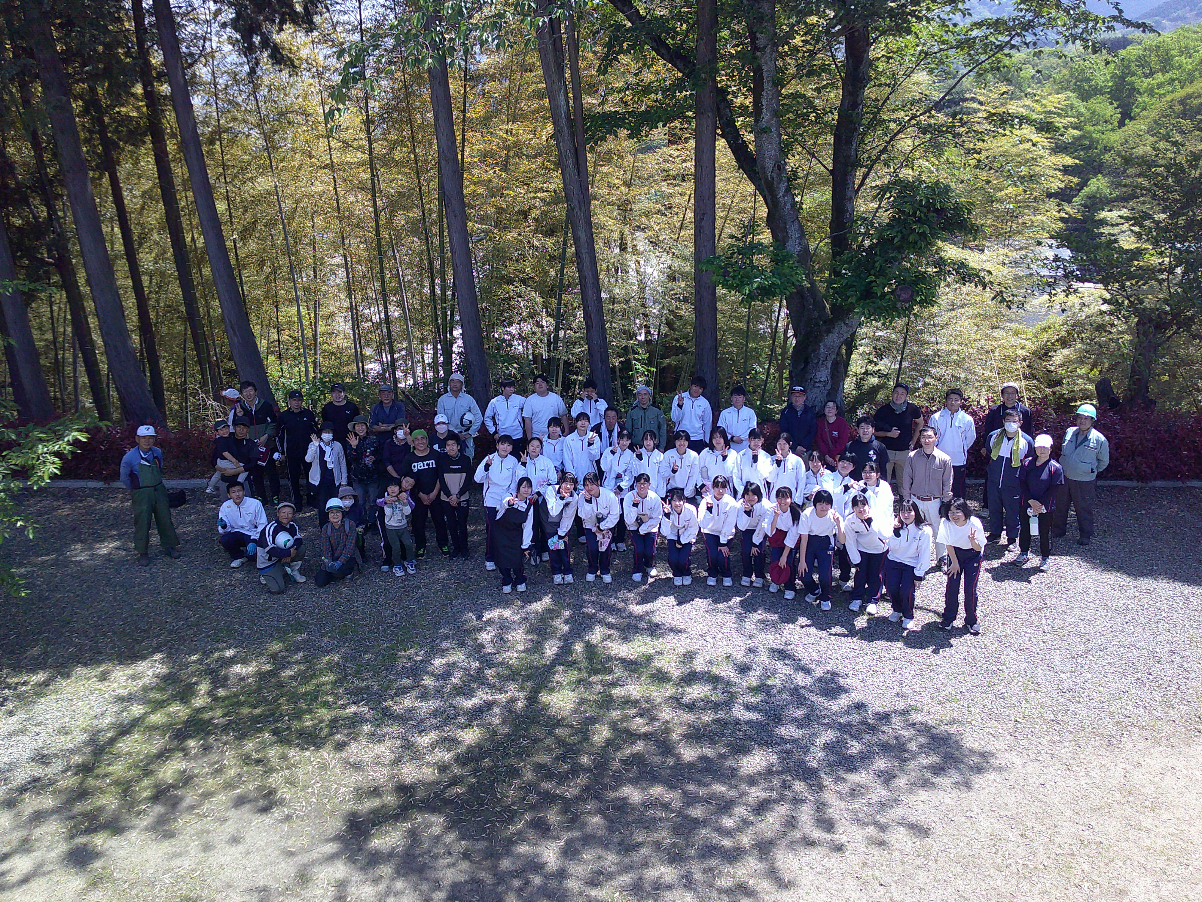 竹林整備活動の様子