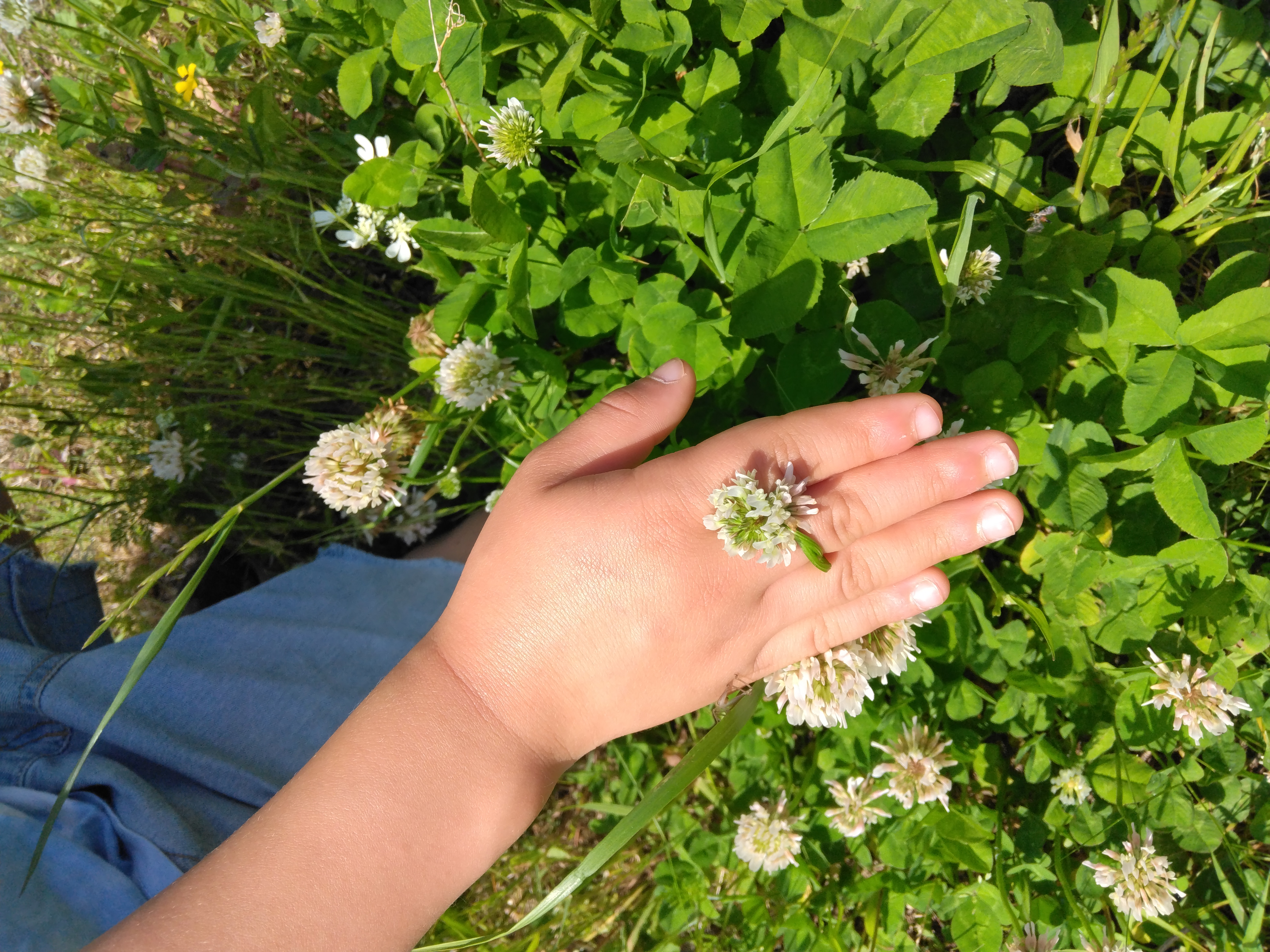 海遊びを楽しむ子どもたち