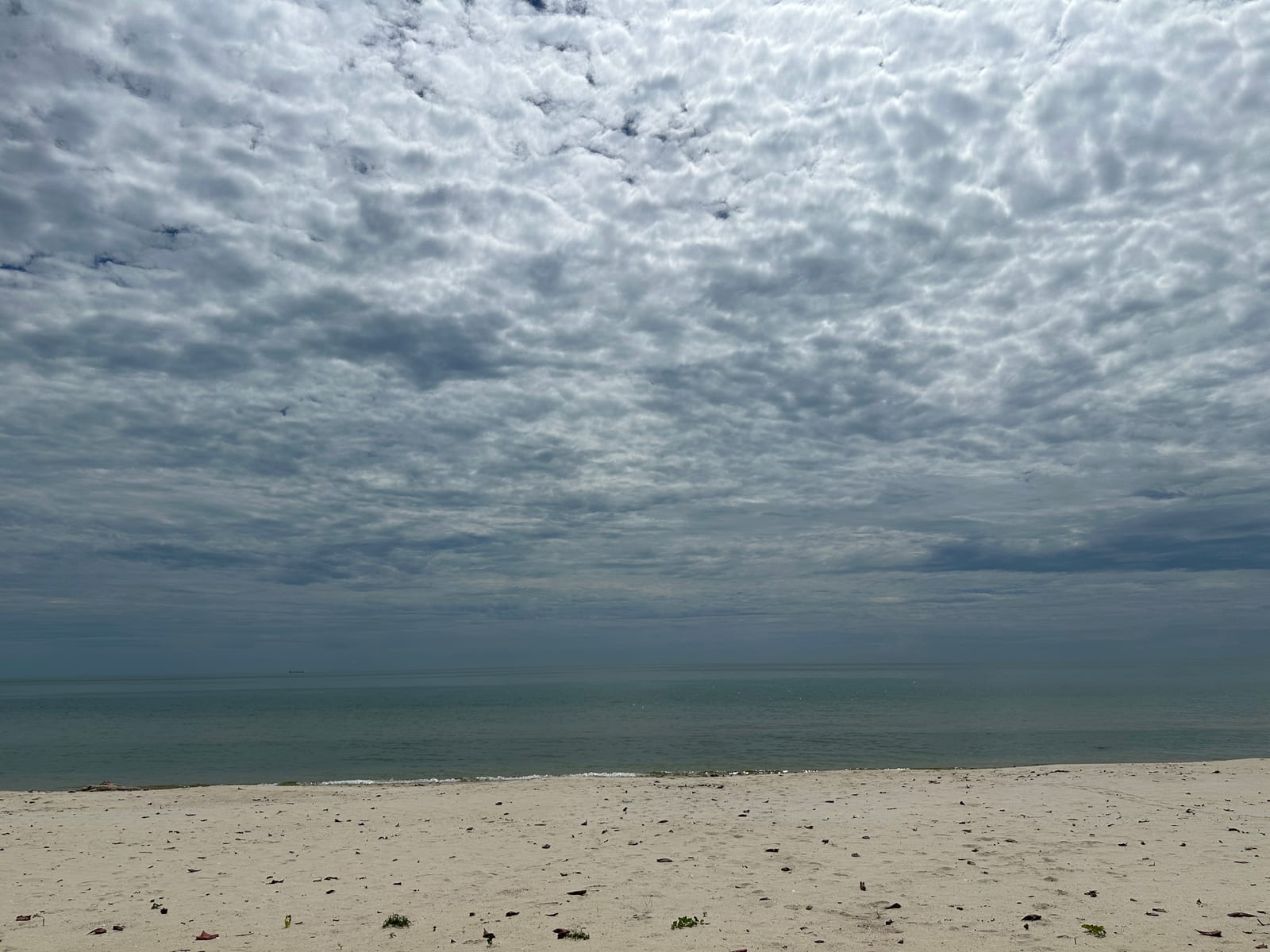 หาดในเพลา รูปที่ 11