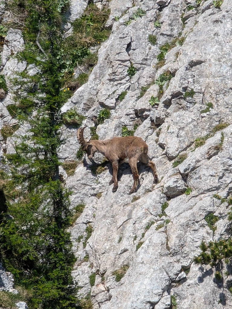  Conquering the Hochlantsch: A hiking story
