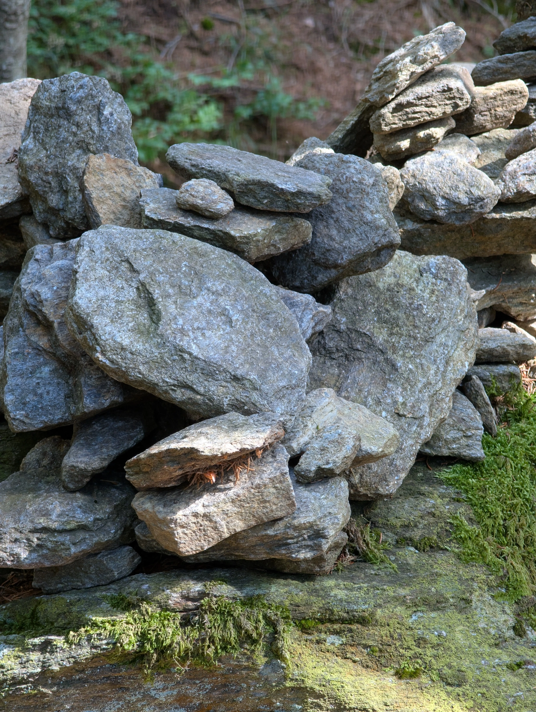 alle guten ding esind 3 awd