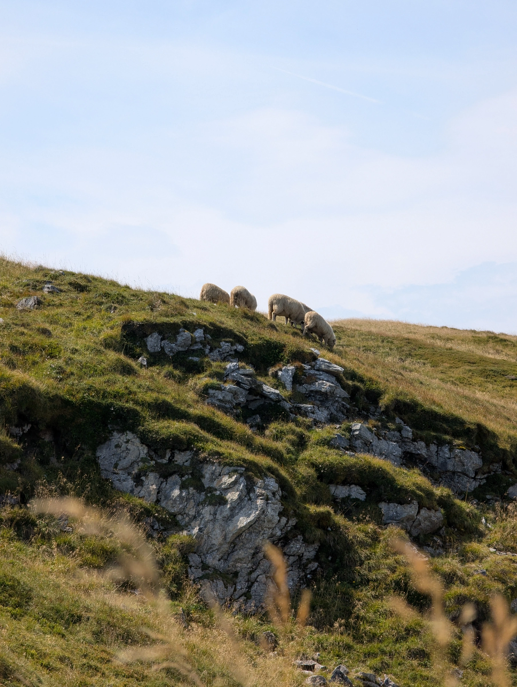 alle guten ding esind 3 awd