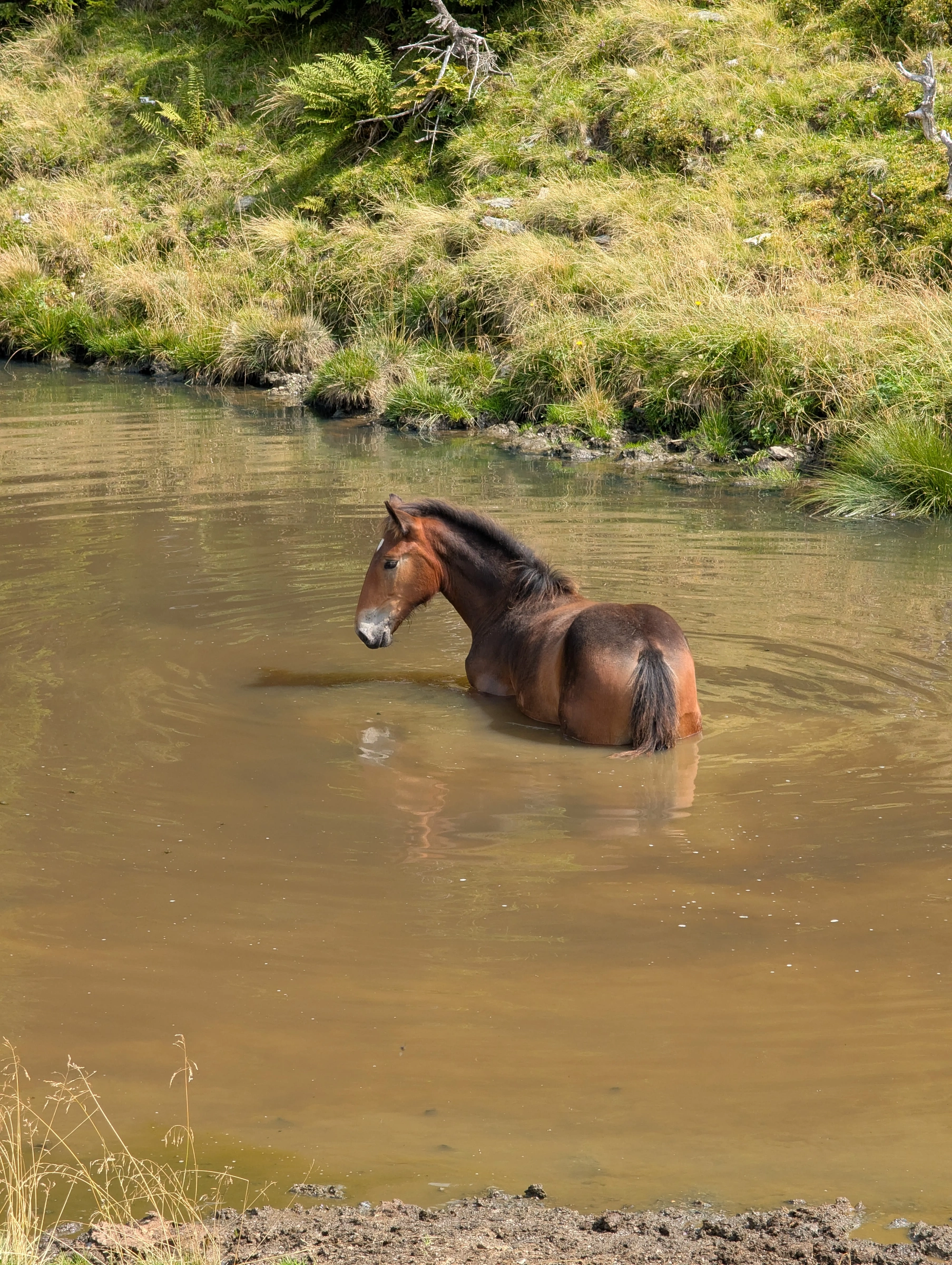 alle guten ding esind 3 awd