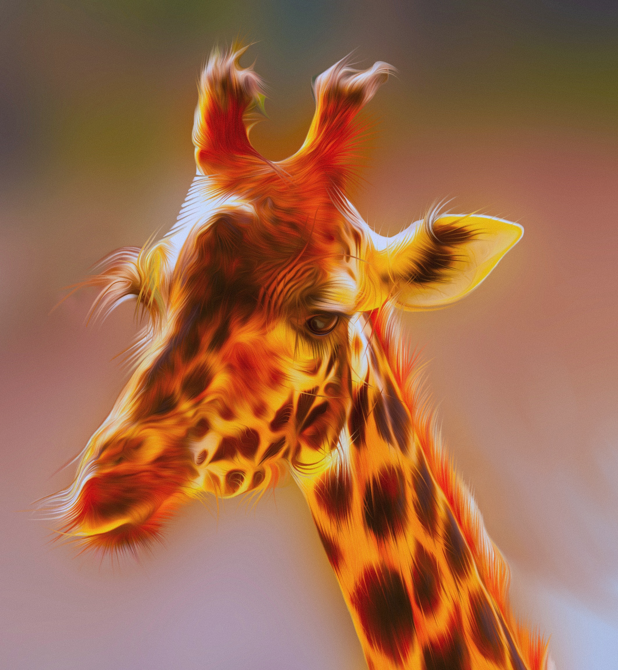 The Giraffe
