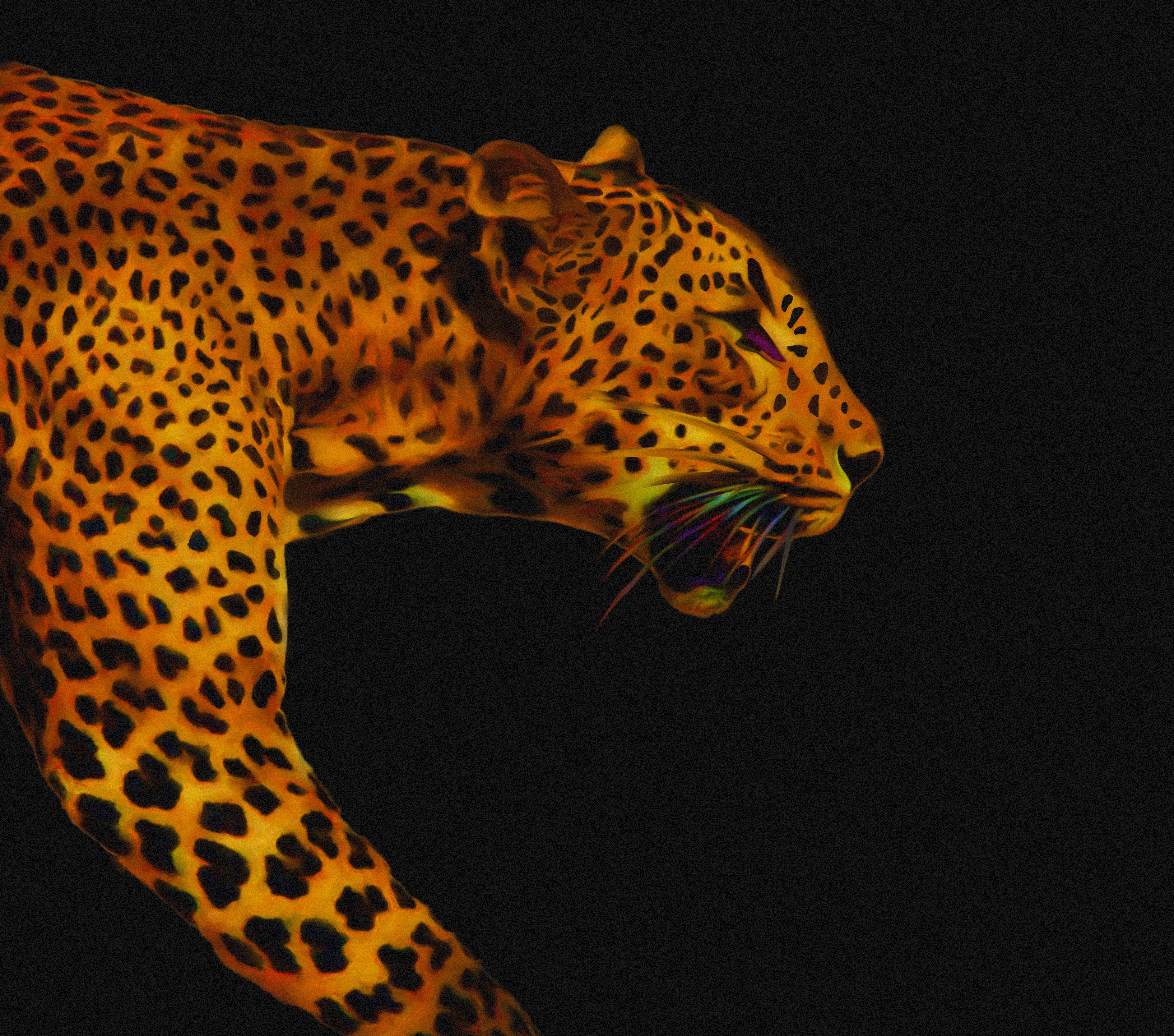 The Jaguar