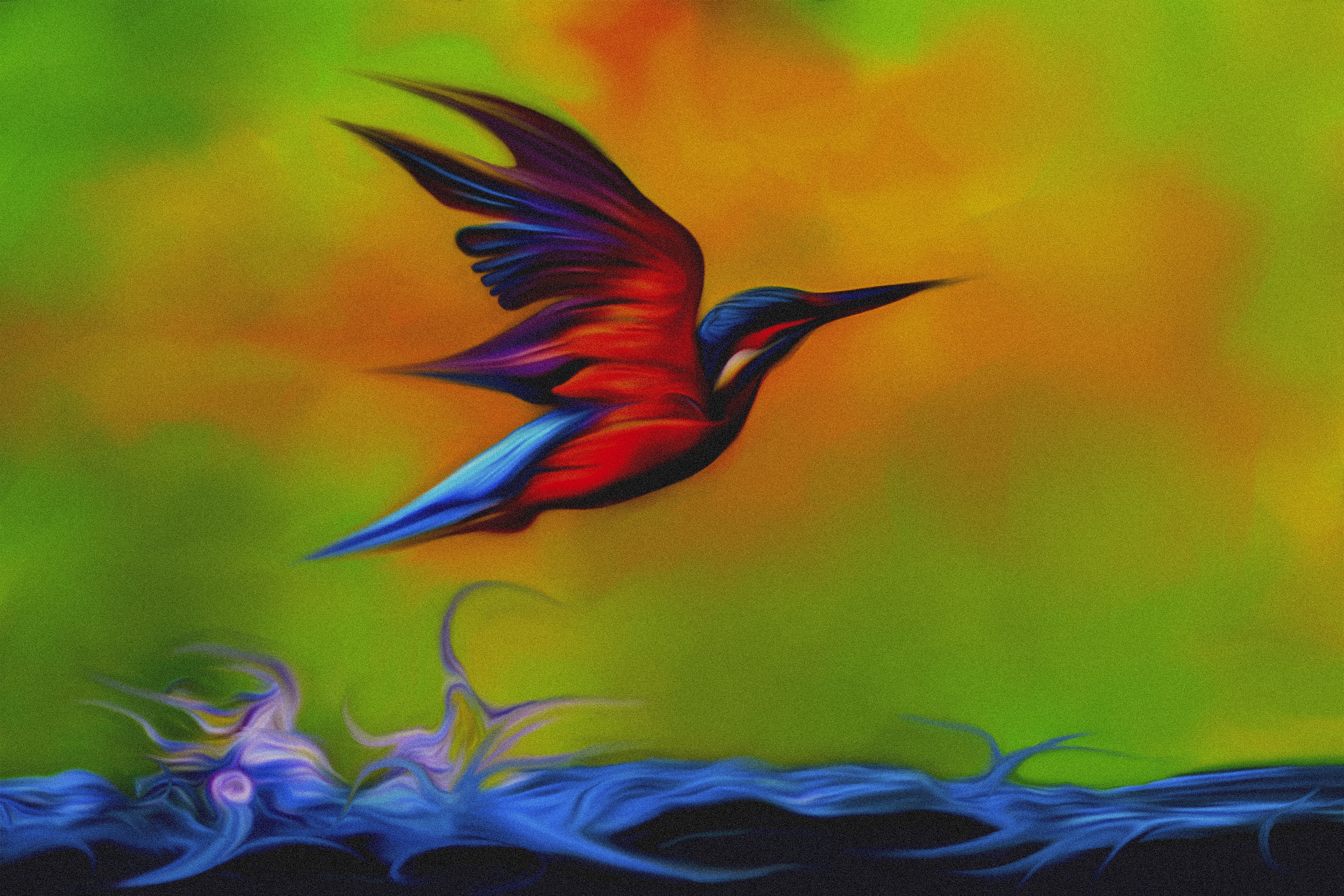 Humming Bird
