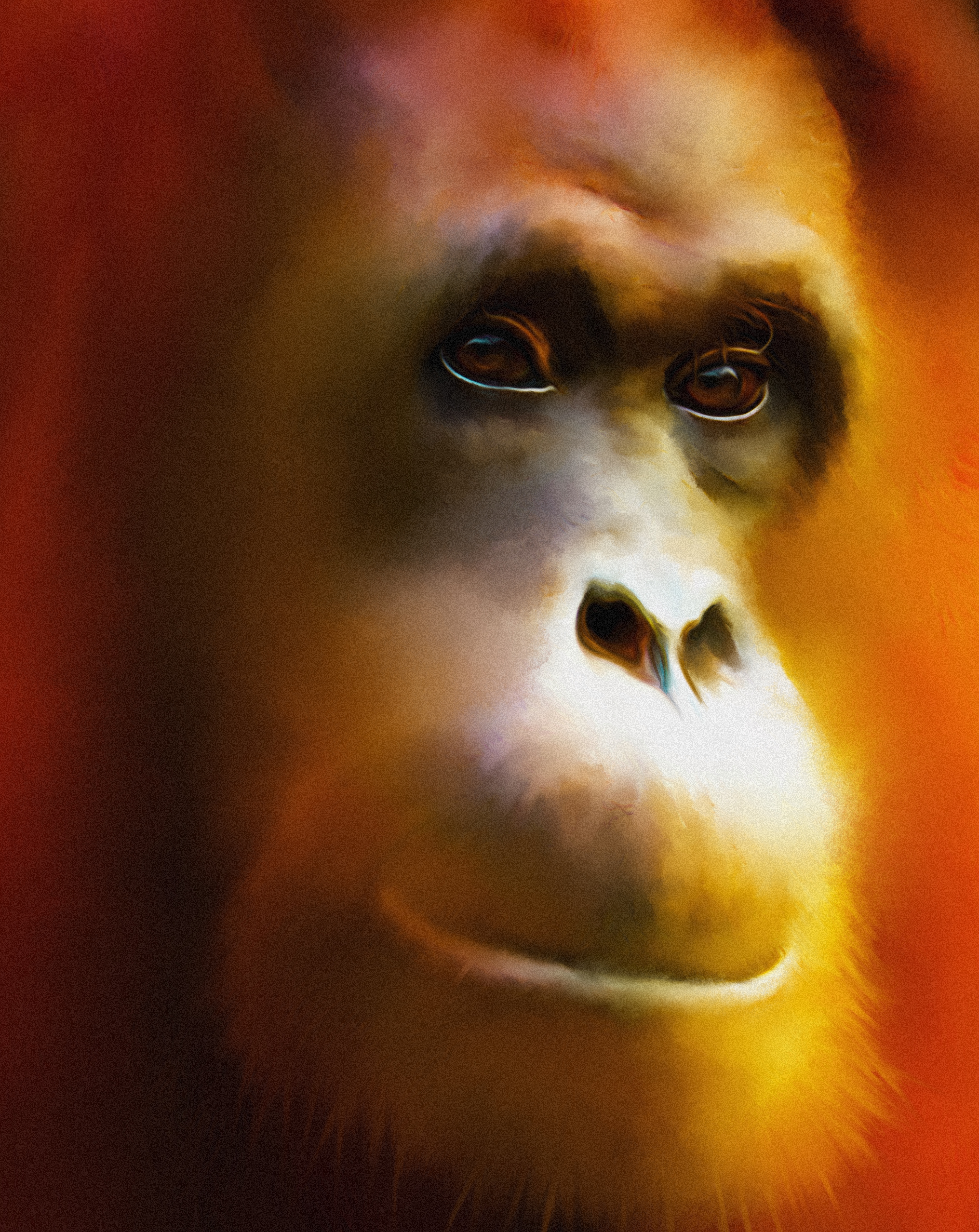 orangutang