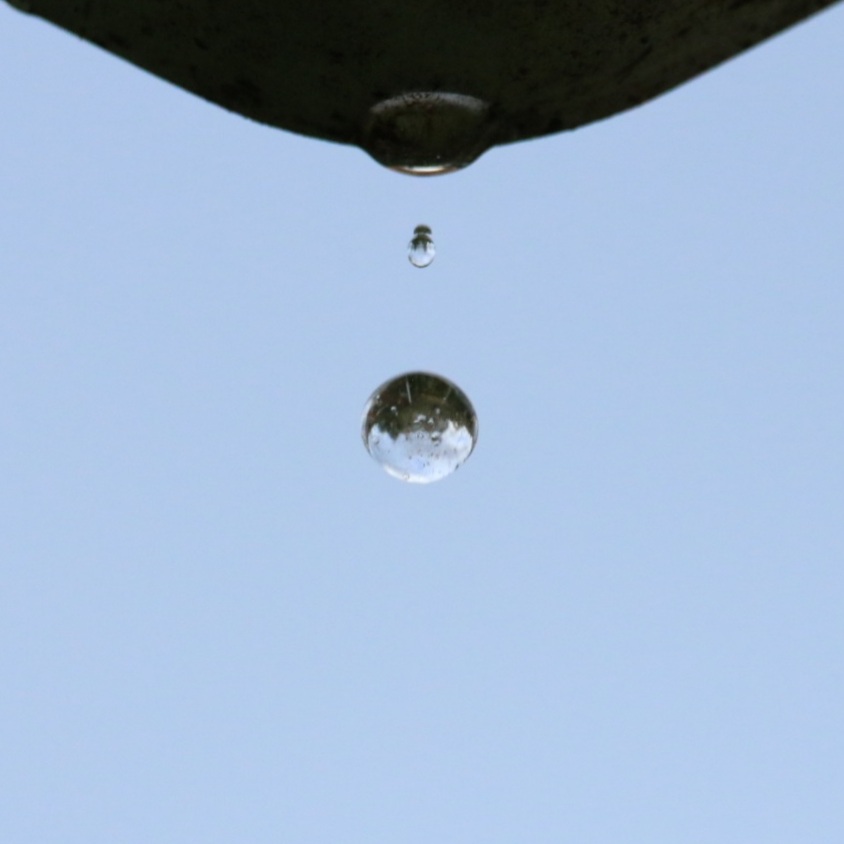 The First Rain