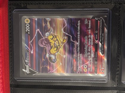 Raikou V graded 9