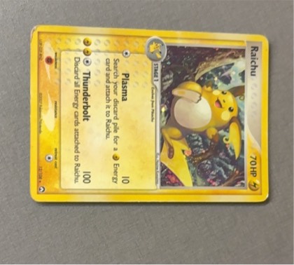 Raichu graded 6 & below