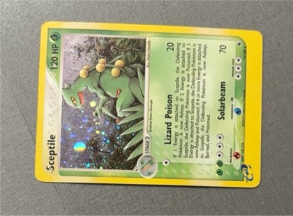 Sceptile, graded 4.5