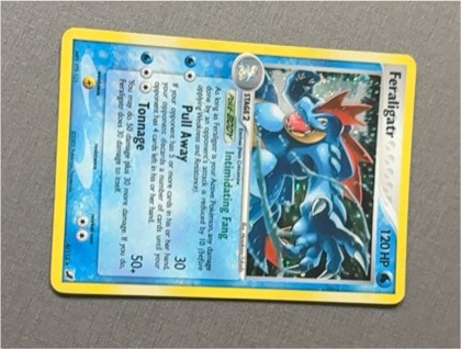 Feraligatr, graded 8.5