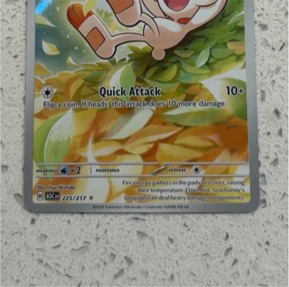 Scorbunny, graded 9.5
