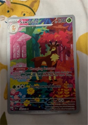 Sawsbuck graded 9