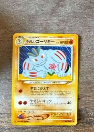 Erika's Machoke, graded 6.5