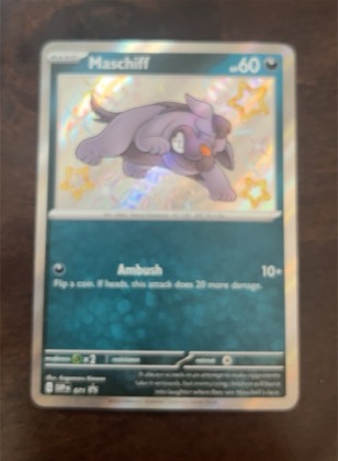 Maschiff - 071 graded 6 & below