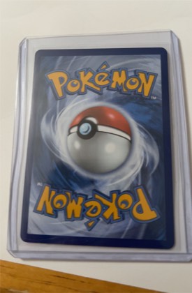 Crispin, graded 9.5