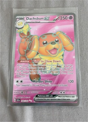 Dachsbun ex, graded 9.5