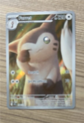 Furret, graded 9.5