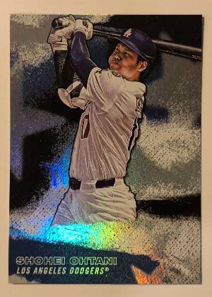 Shohei Ohtani, graded 9.5