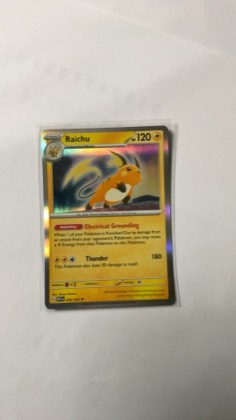 Raichu graded 6 & below