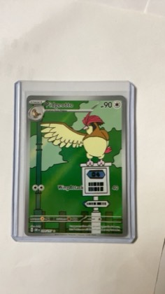 Pidgeotto graded 8