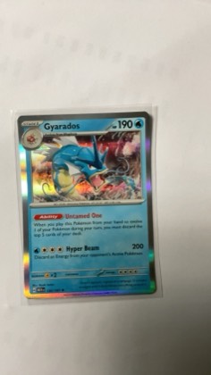 Gyarados, graded 2.5