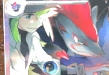 N's Zoroark, graded 7.0