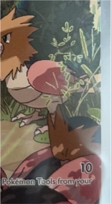 Spearow, graded 9.0