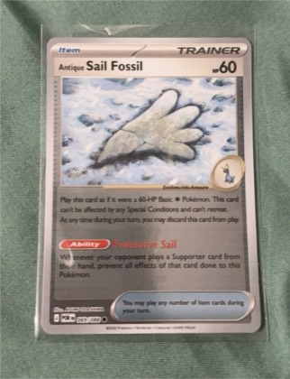 Antique Sail Fossil, graded 9.5