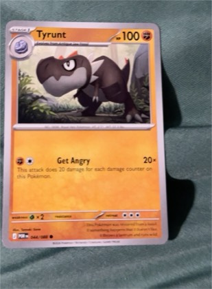 Tyrunt, graded 8.0