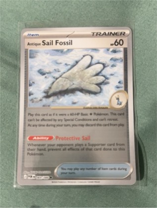 Antique Sail Fossil, graded 9.0