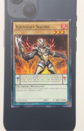 Igknight Squire, graded 9.0