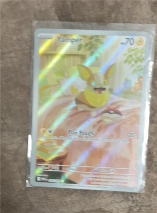 Yamper, graded 9.5
