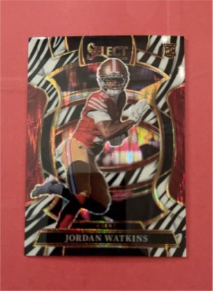 Jordan Watkins, graded 9.5