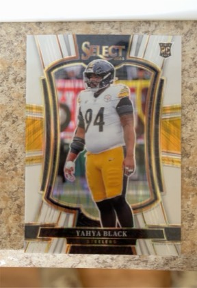 Yahya Black, graded 9.5