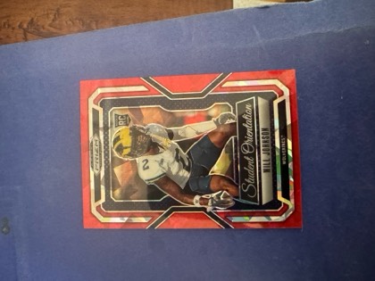 Will Johnson, graded 9.0